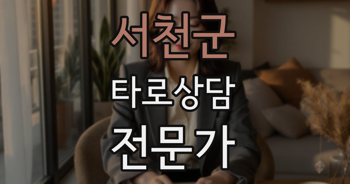 서천군 타로상담전문가 자격증