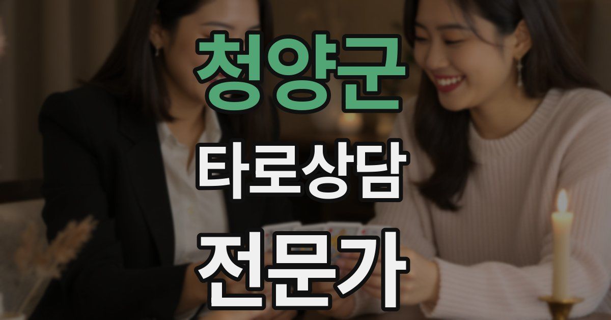 청양군 타로상담전문가 자격증