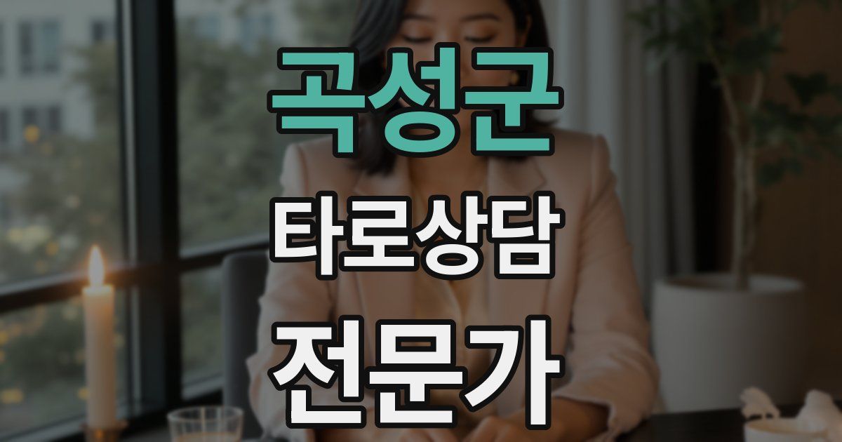곡성군 타로상담전문가 자격증