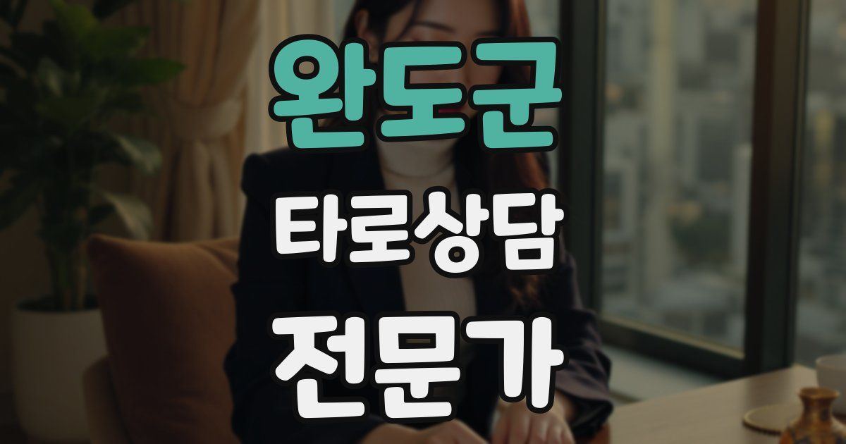 완도군 타로상담전문가 자격증