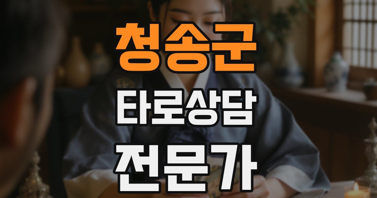 청송군 타로상담전문가 자격증