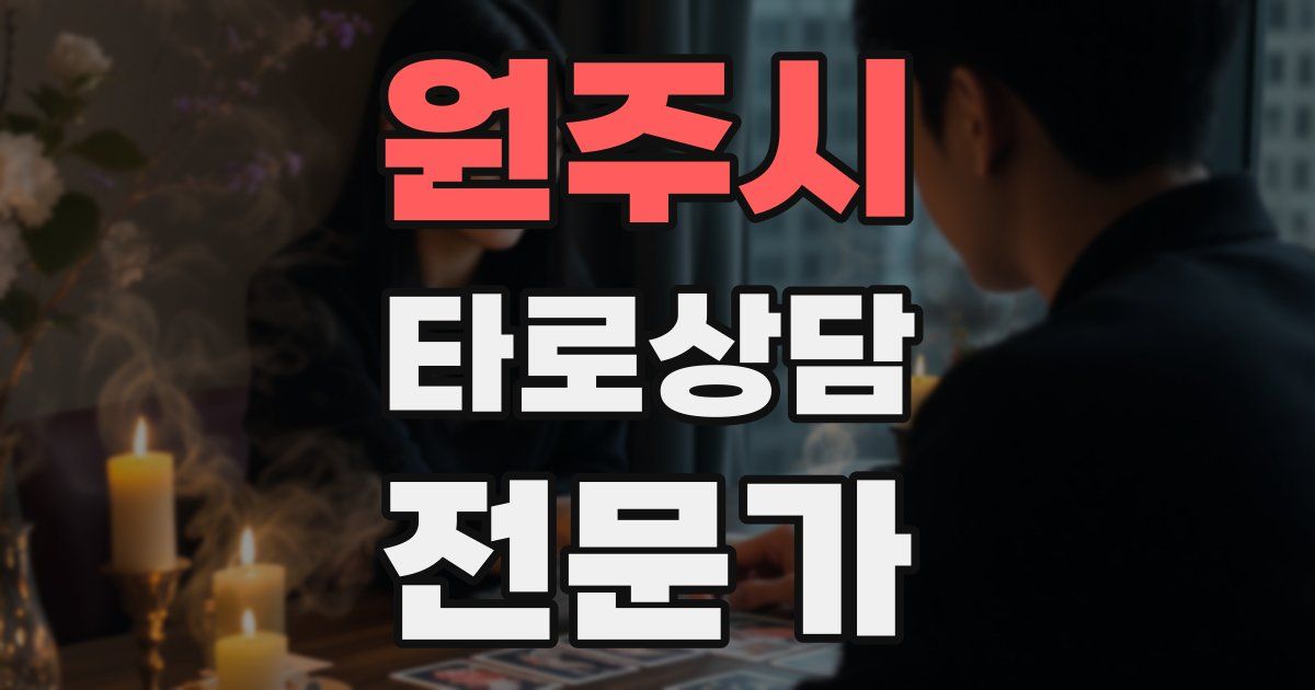 원주시 타로상담전문가 자격증