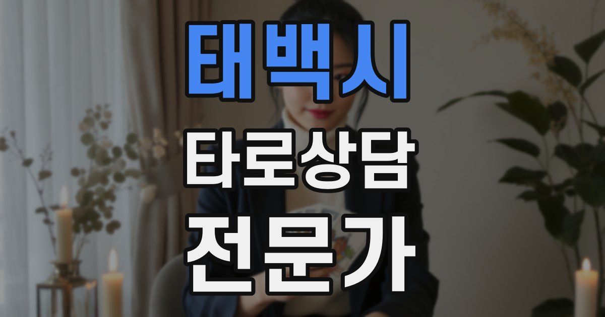 태백시 타로상담전문가 자격증