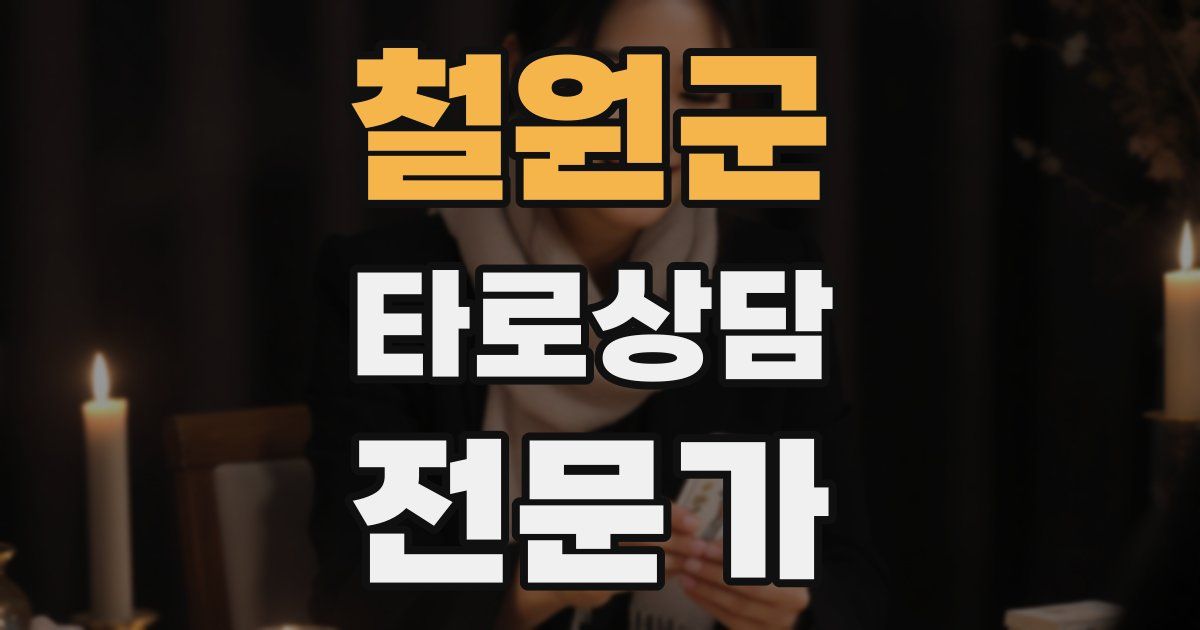 철원군 타로상담전문가 자격증