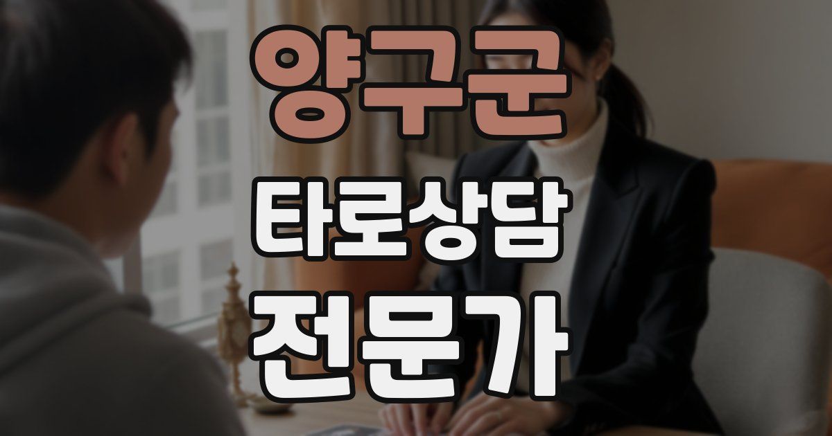 양구군 타로상담전문가 자격증