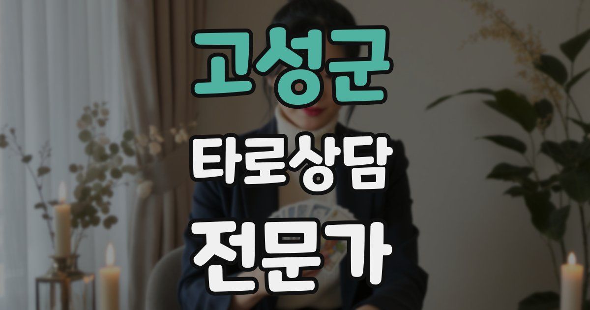고성군 타로상담전문가 자격증