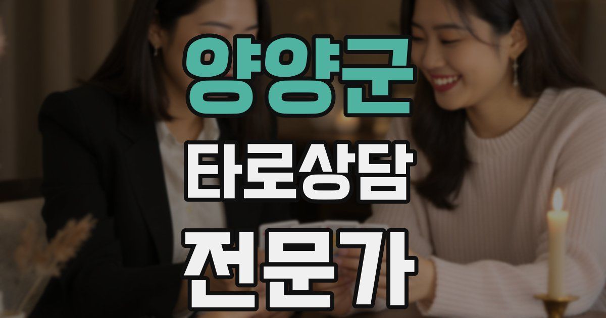 양양군 타로상담전문가 자격증