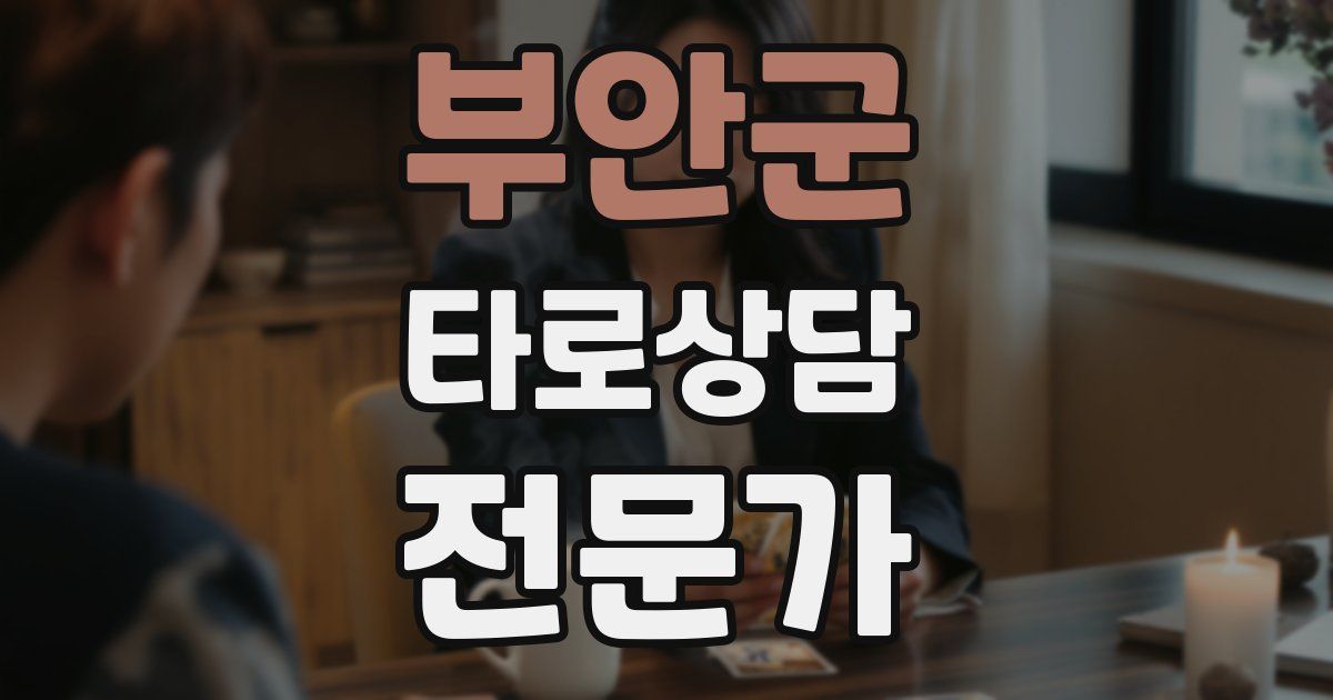 부안군 타로상담전문가 자격증
