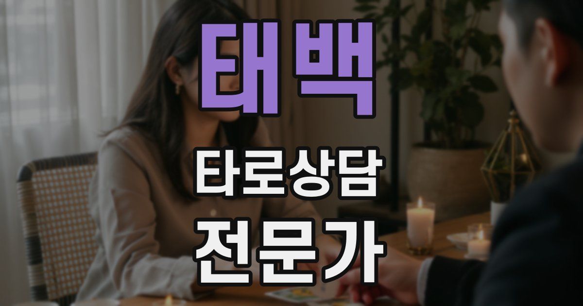 태백 타로상담전문가 자격증