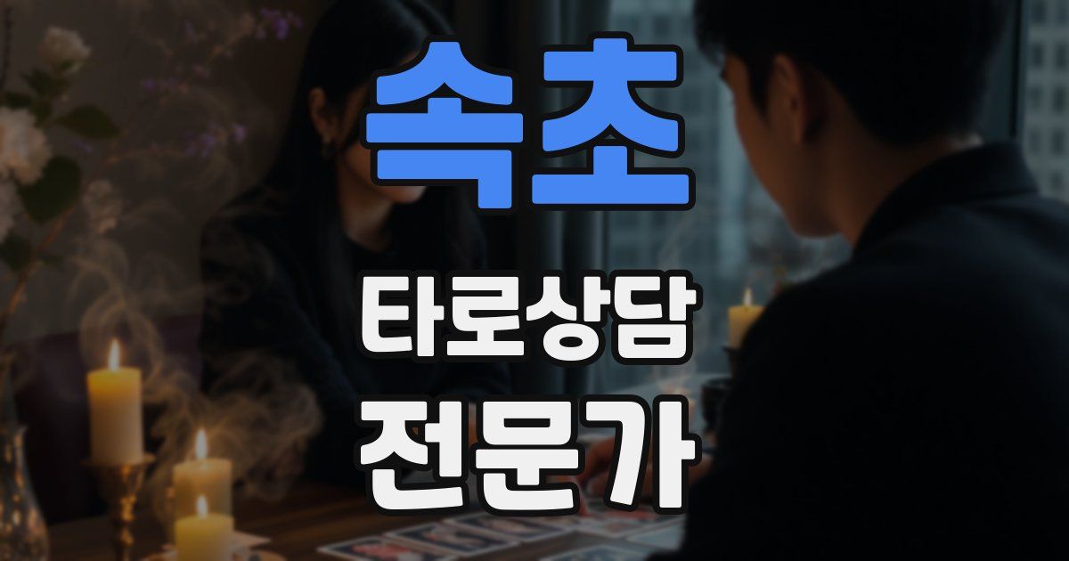 속초 타로상담전문가 자격증