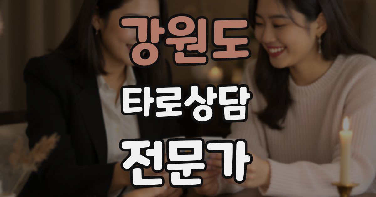 강원도 타로상담전문가 자격증