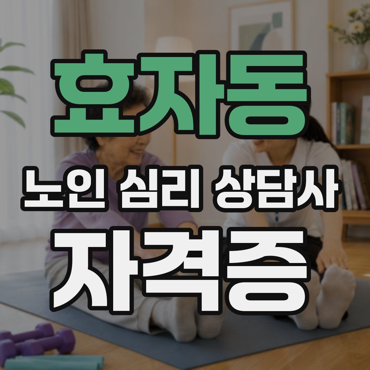효자동 노인 심리 상담사 자격증