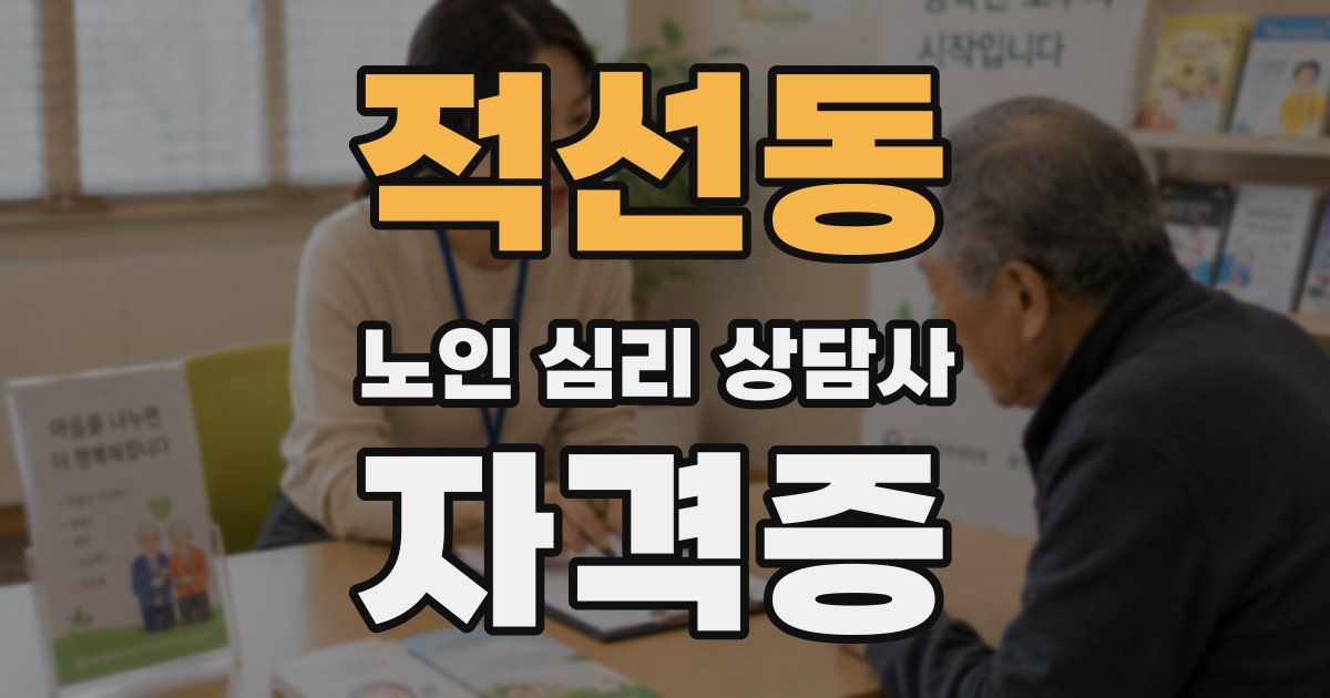 적선동 노인 심리 상담사 자격증