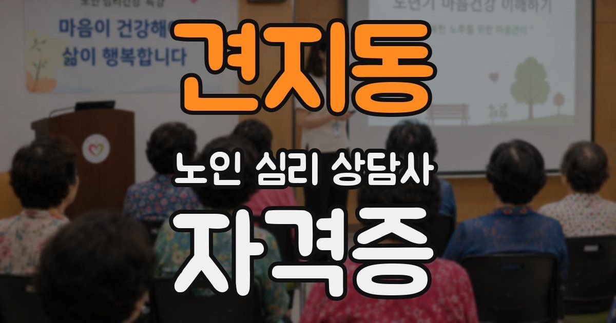 견지동 노인 심리 상담사 자격증