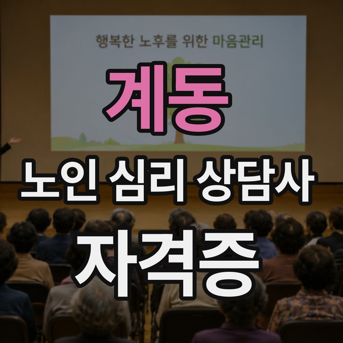 계동 노인 심리 상담사 자격증