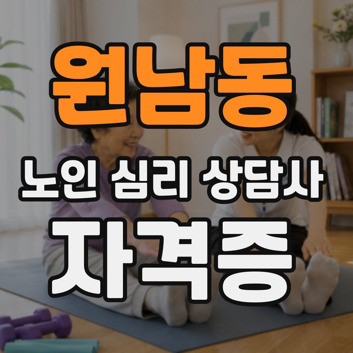원남동 노인 심리 상담사 자격증