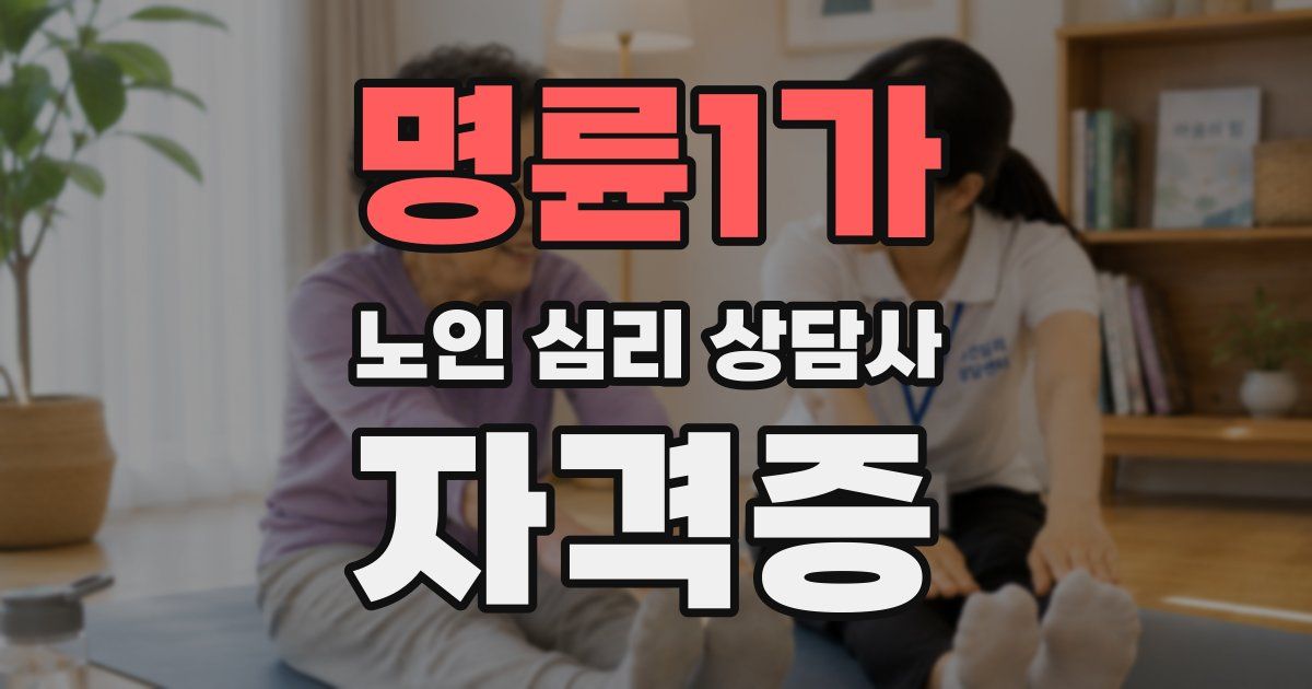 명륜1가 노인 심리 상담사 자격증