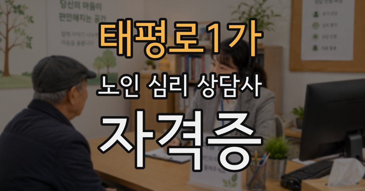 태평로1가 노인 심리 상담사 자격증