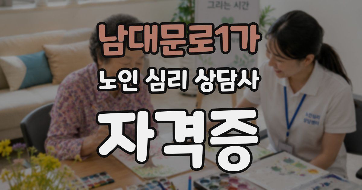 남대문로1가 노인 심리 상담사 자격증