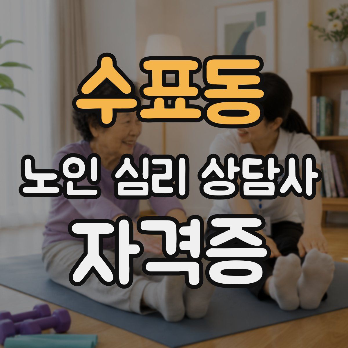 수표동 노인 심리 상담사 자격증