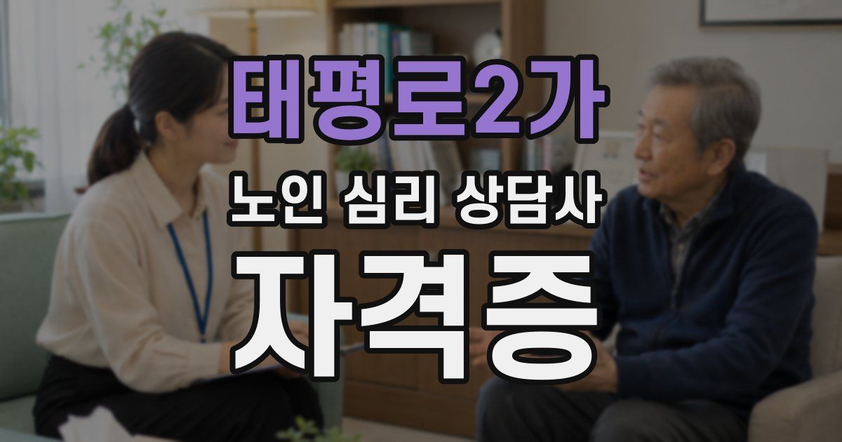 태평로2가 노인 심리 상담사 자격증