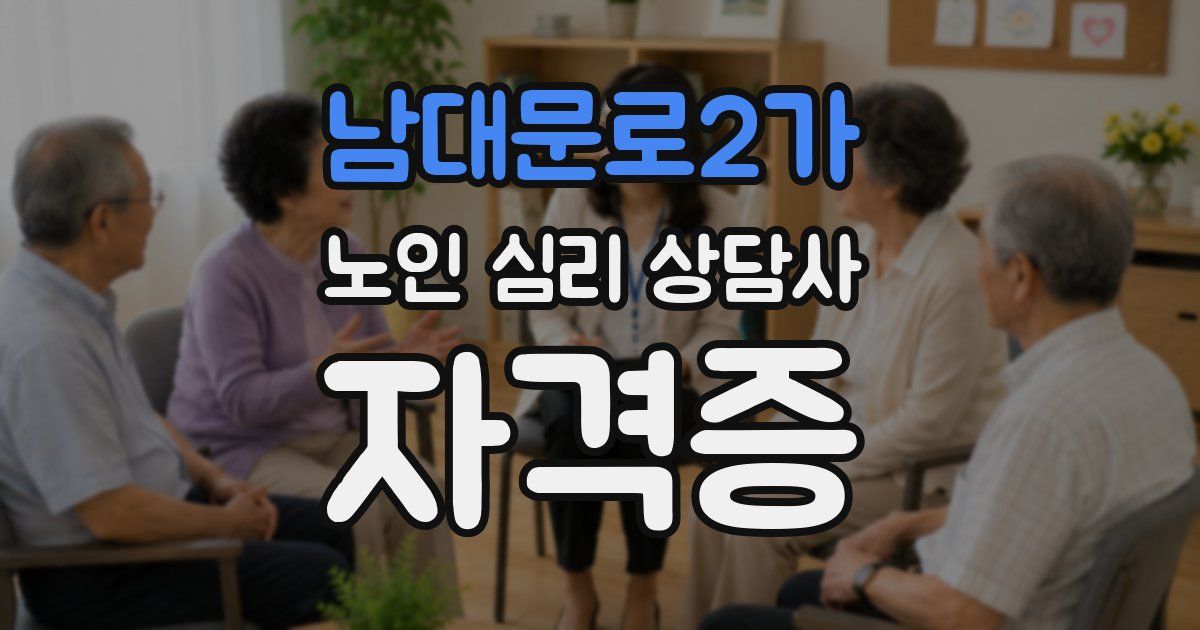남대문로2가 노인 심리 상담사 자격증