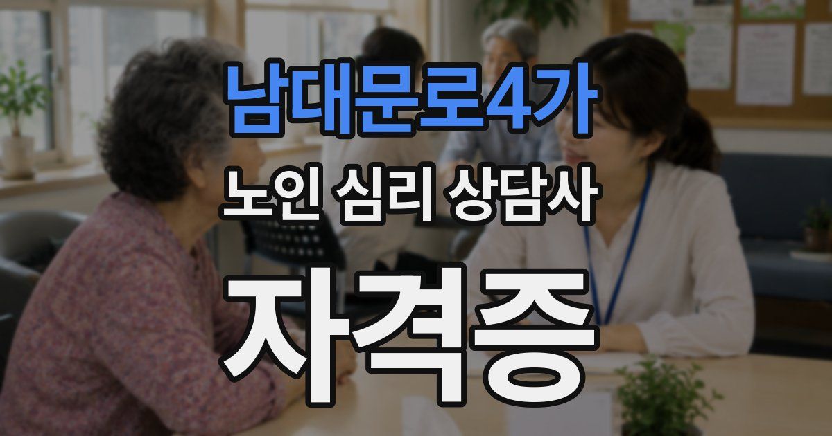 남대문로4가 노인 심리 상담사 자격증