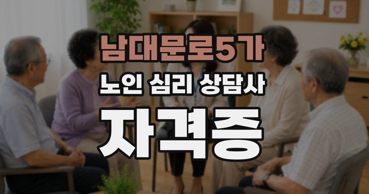 남대문로5가 노인 심리 상담사 자격증