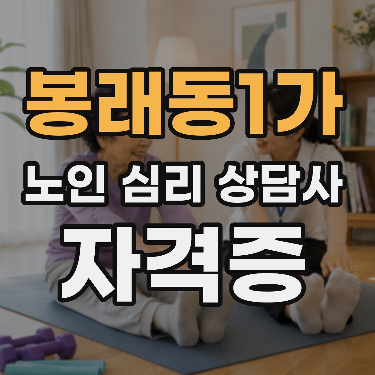 봉래동1가 노인 심리 상담사 자격증