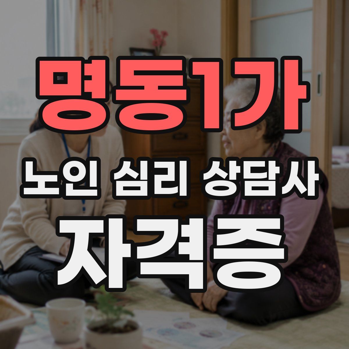 명동1가 노인 심리 상담사 자격증