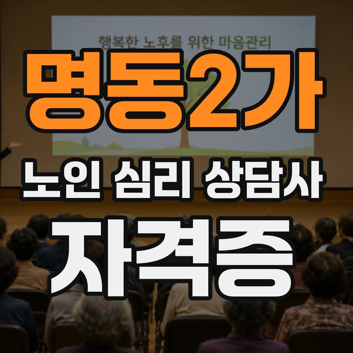 명동2가 노인 심리 상담사 자격증