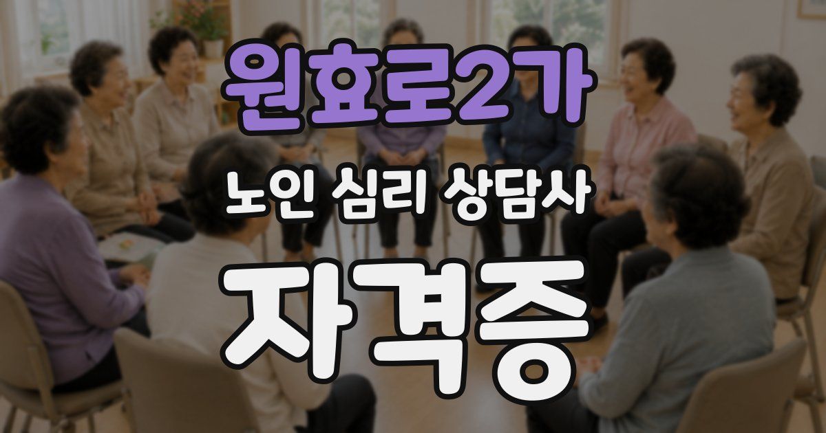 원효로2가 노인 심리 상담사 자격증