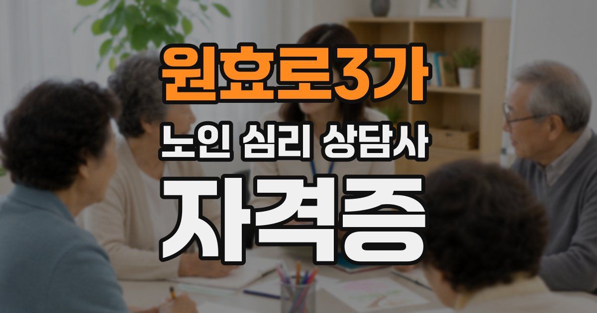 원효로3가 노인 심리 상담사 자격증