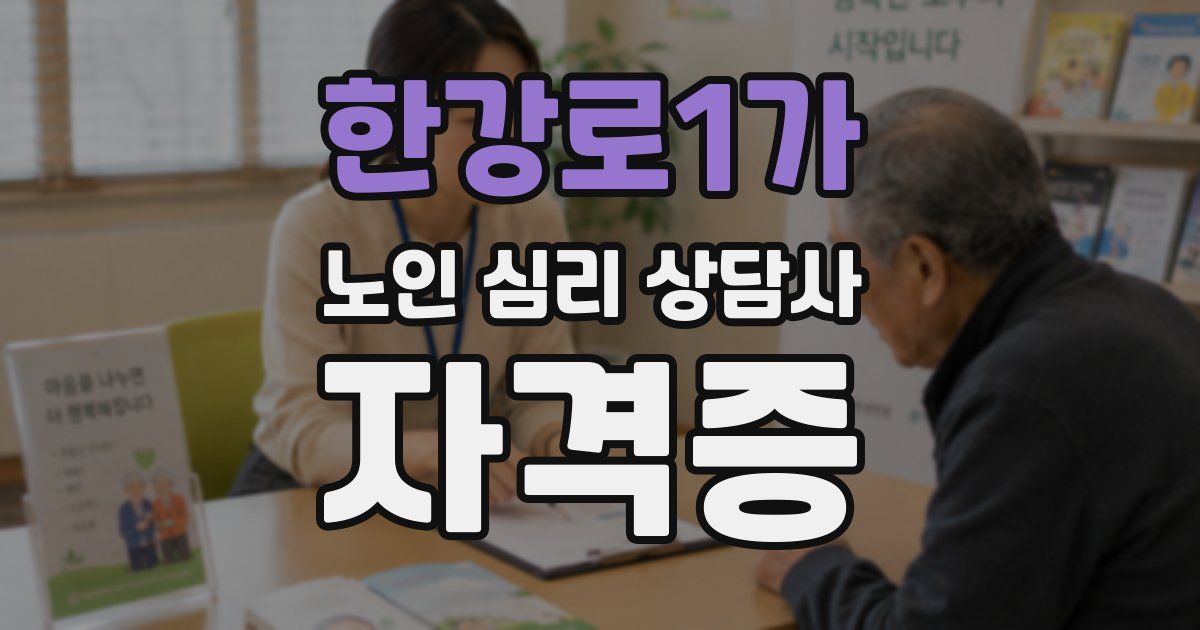 한강로1가 노인 심리 상담사 자격증