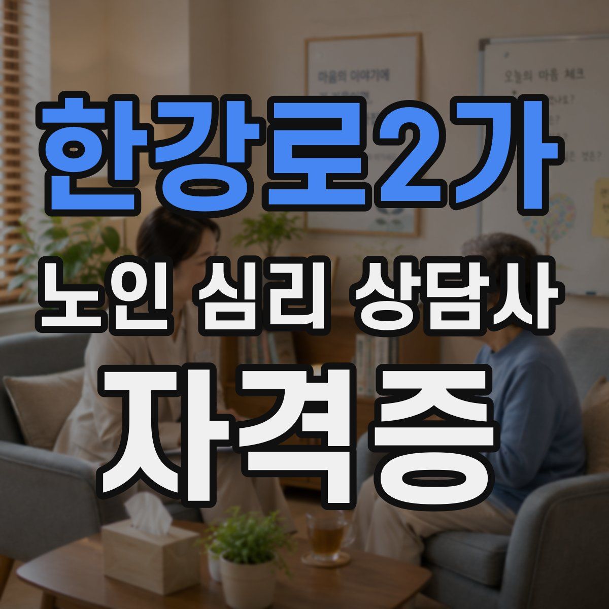 한강로2가 노인 심리 상담사 자격증