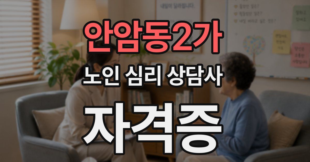 안암동2가 노인 심리 상담사 자격증