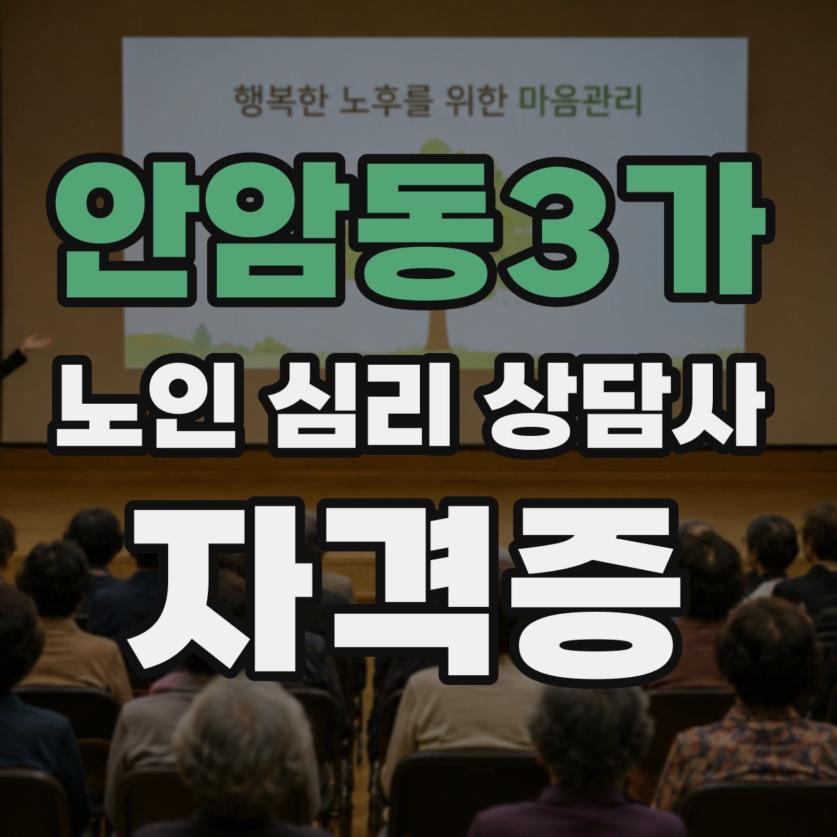 안암동3가 노인 심리 상담사 자격증