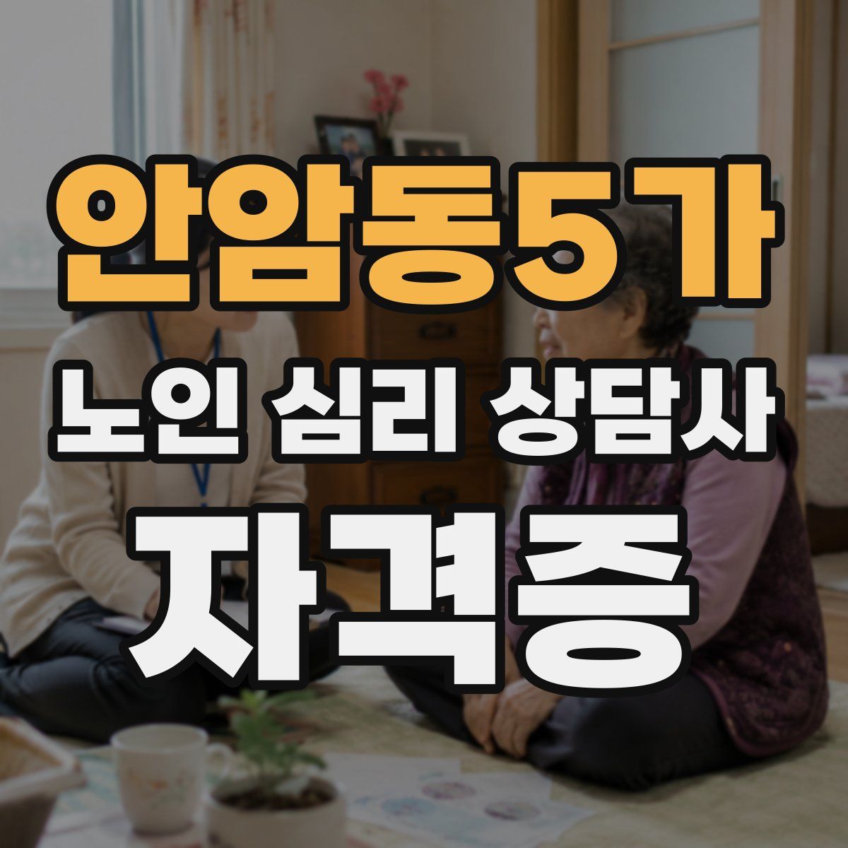 안암동5가 노인 심리 상담사 자격증