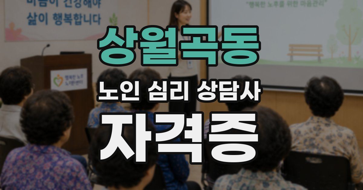 상월곡동 노인 심리 상담사 자격증