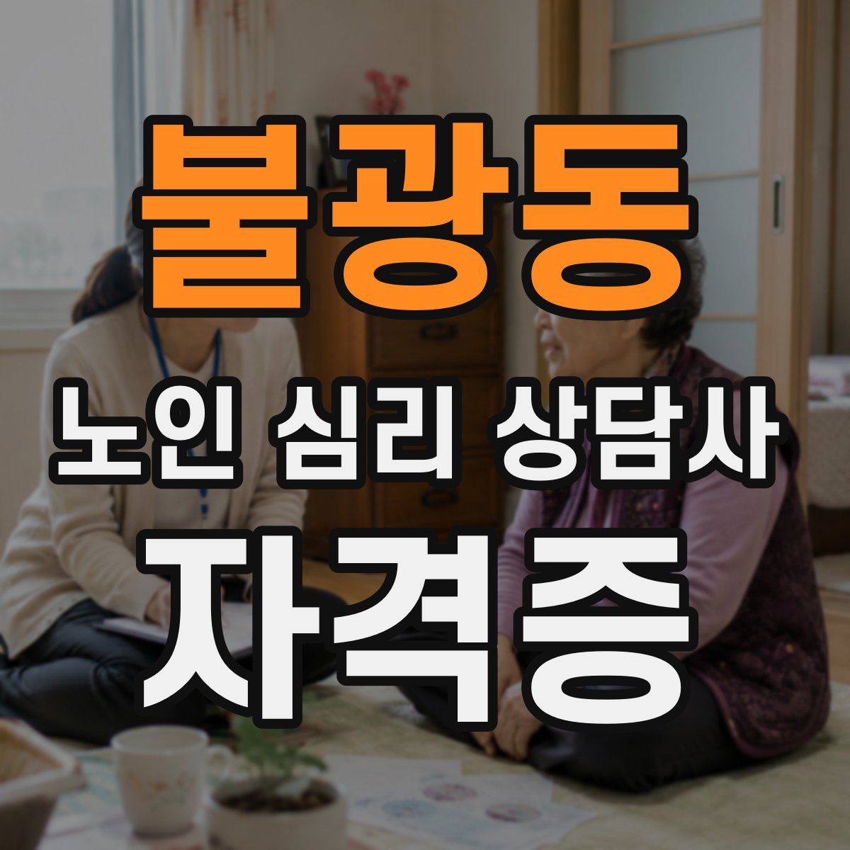 불광동 노인 심리 상담사 자격증