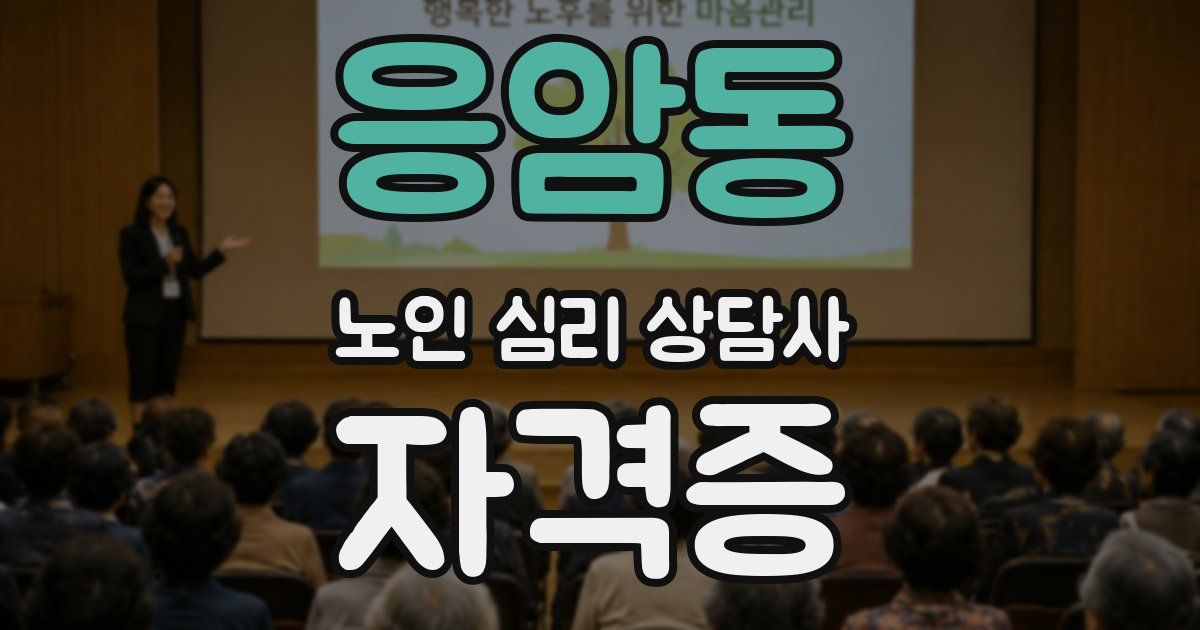 응암동 노인 심리 상담사 자격증