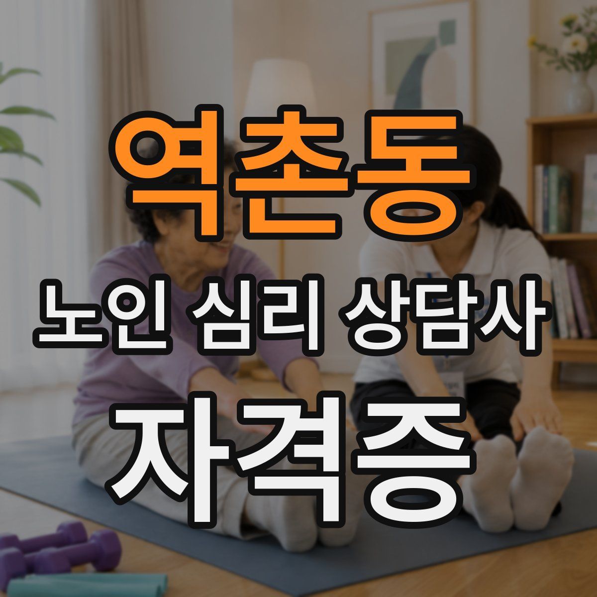 역촌동 노인 심리 상담사 자격증