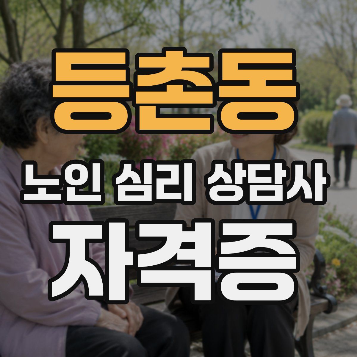 등촌동 노인 심리 상담사 자격증