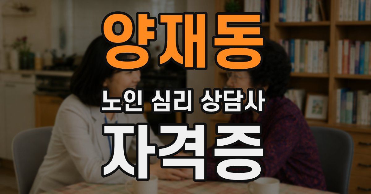 양재동 노인 심리 상담사 자격증
