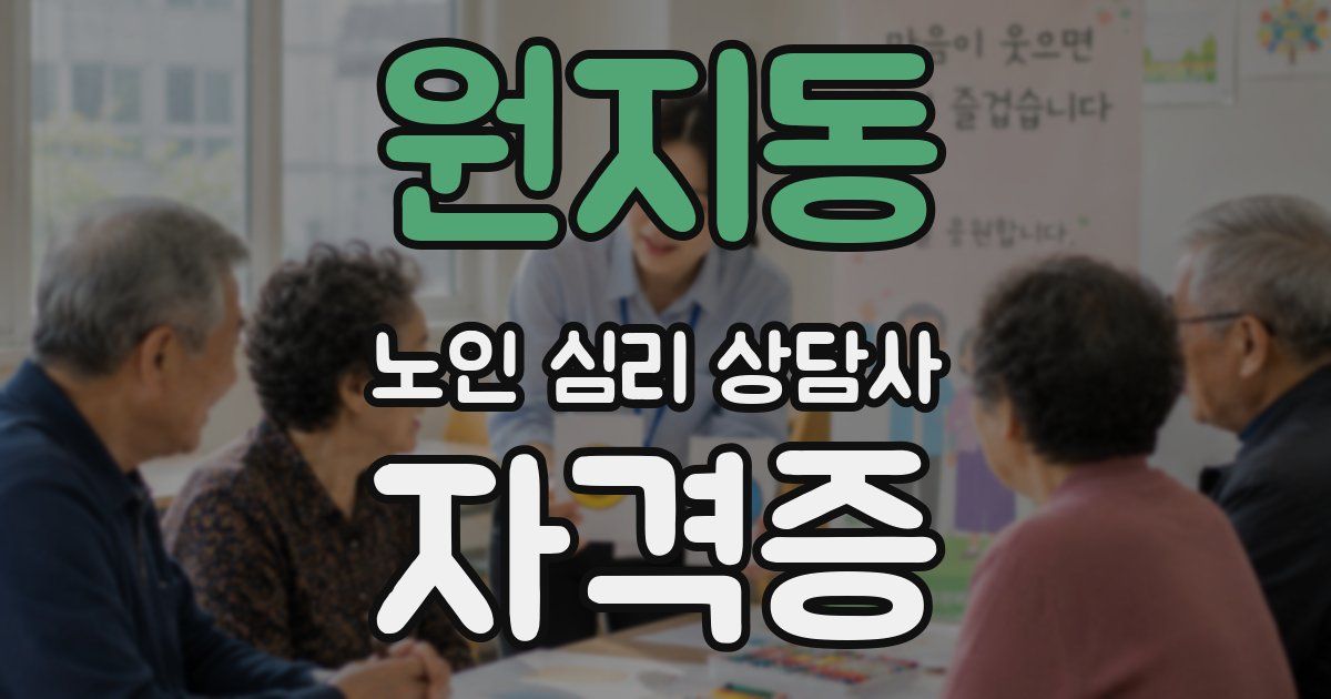 원지동 노인 심리 상담사 자격증