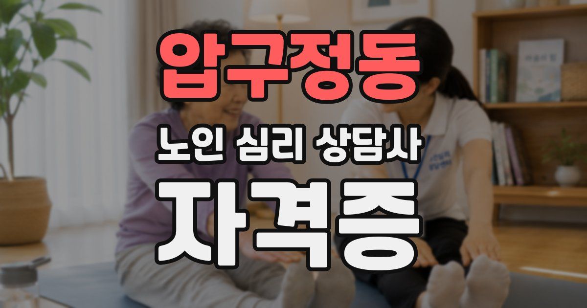 압구정동 노인 심리 상담사 자격증