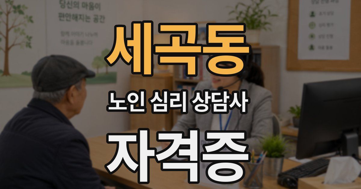 세곡동 노인 심리 상담사 자격증