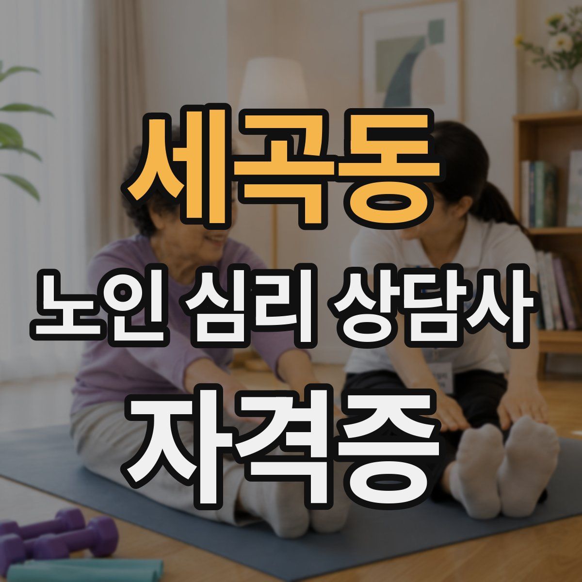 세곡동 노인 심리 상담사 자격증