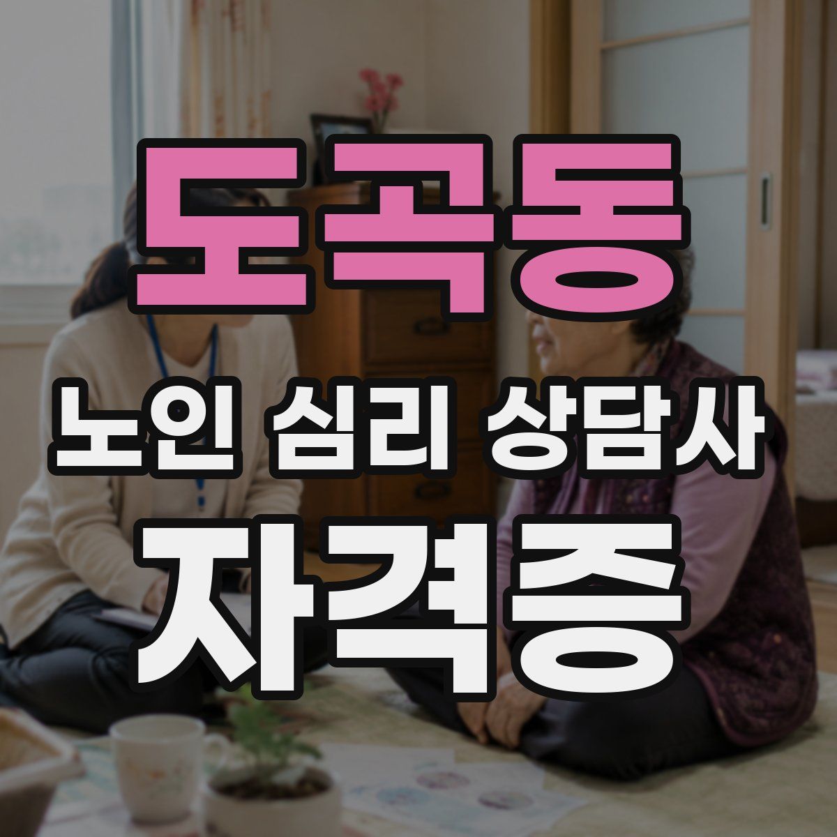 도곡동 노인 심리 상담사 자격증