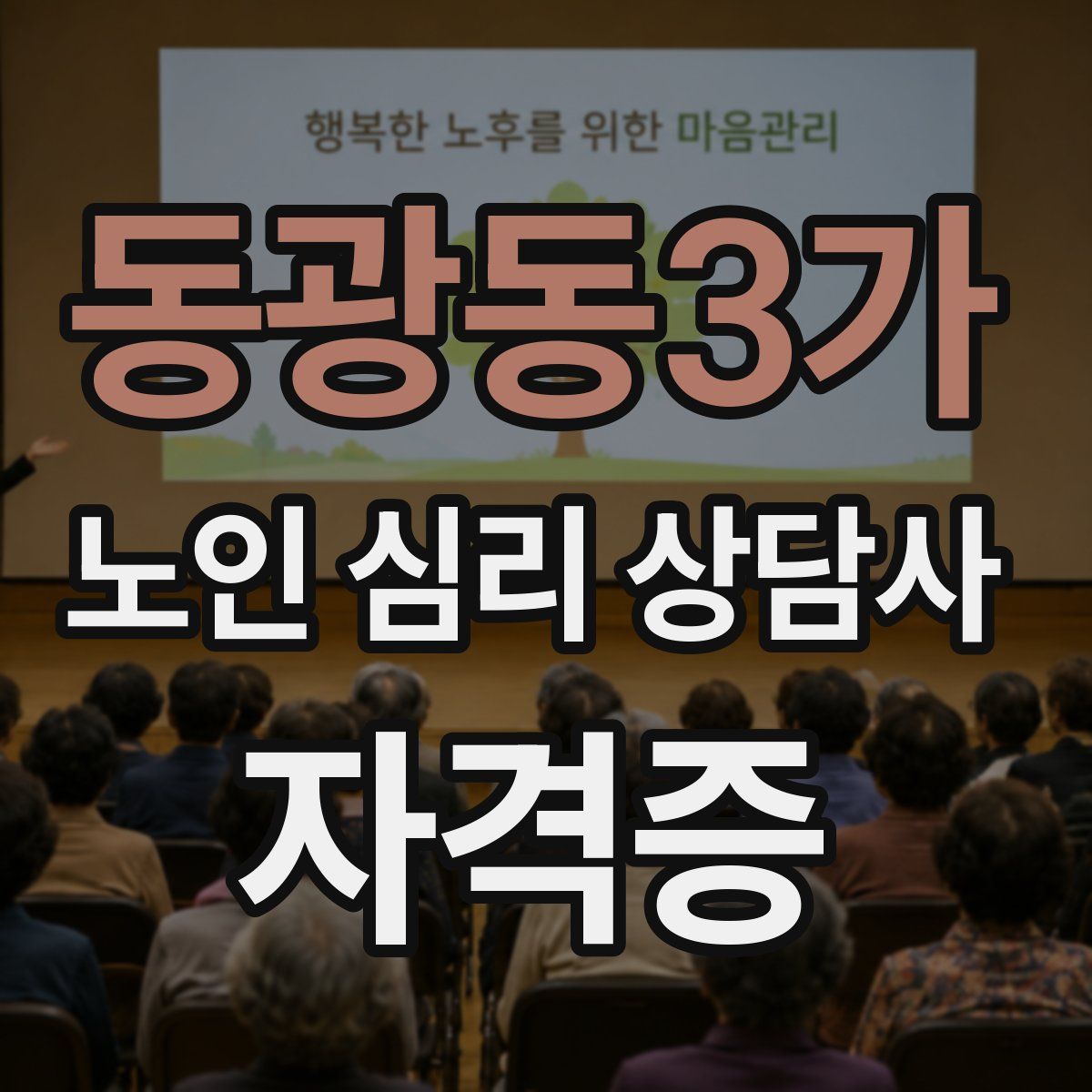 동광동3가 노인 심리 상담사 자격증